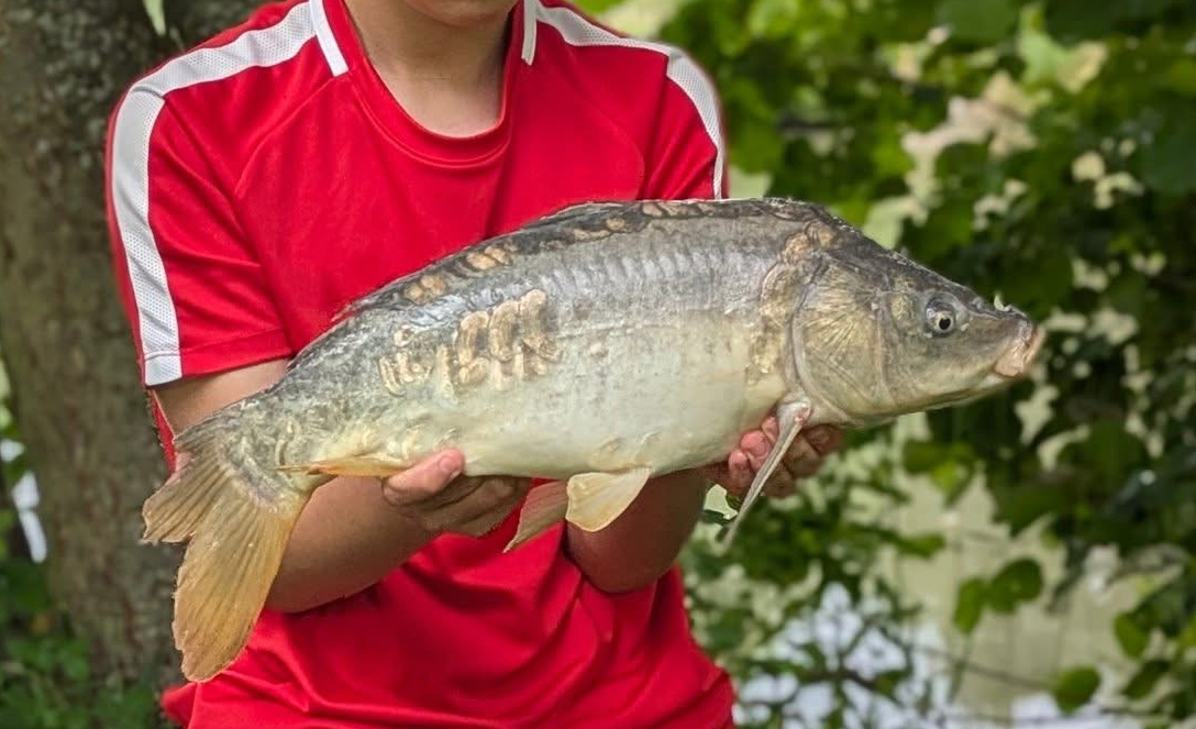 Fish caught at Ash Lake