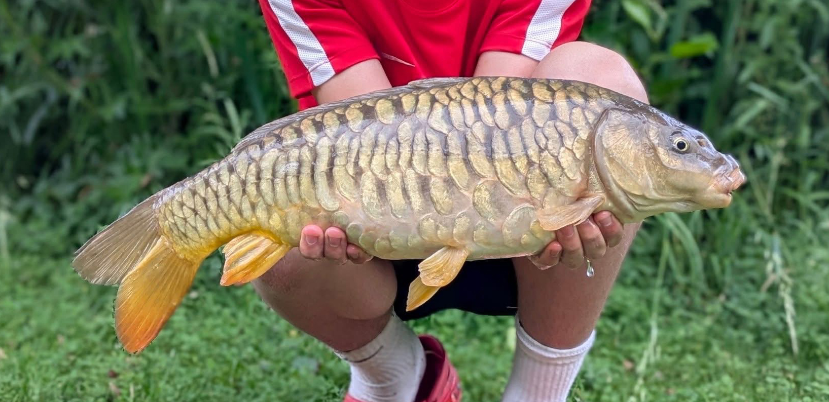 Fish caught at Ash Lake