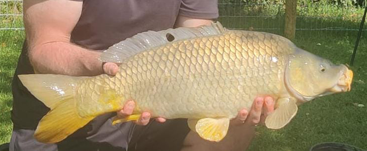 Fish caught at Ash Lake