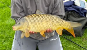 Fish caught at Ash Lake
