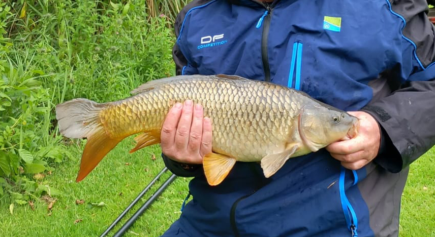 Fish caught at Ash Lake