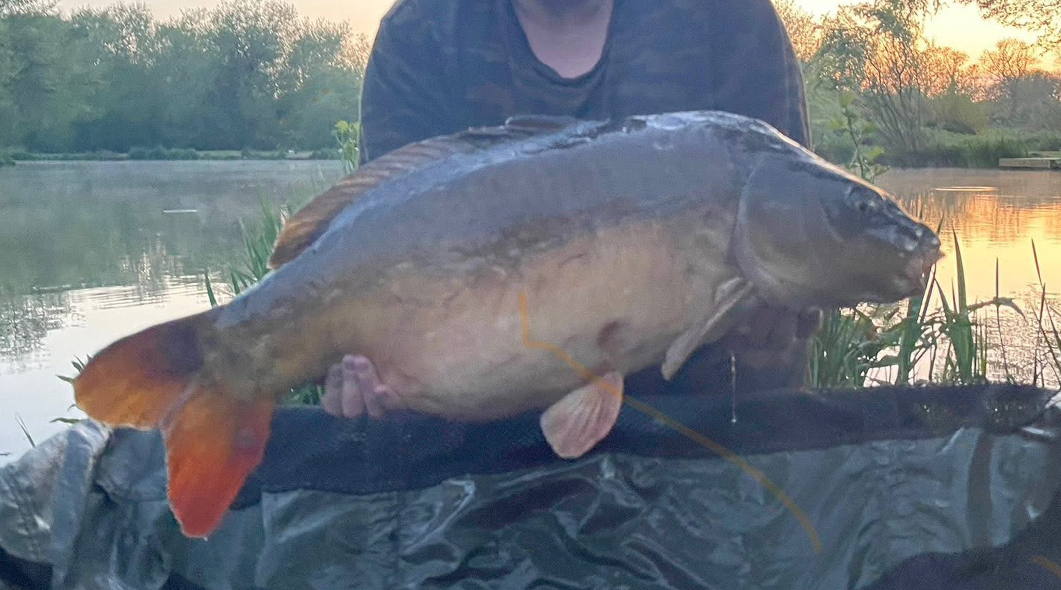Fish caught at Hawthorn Lake