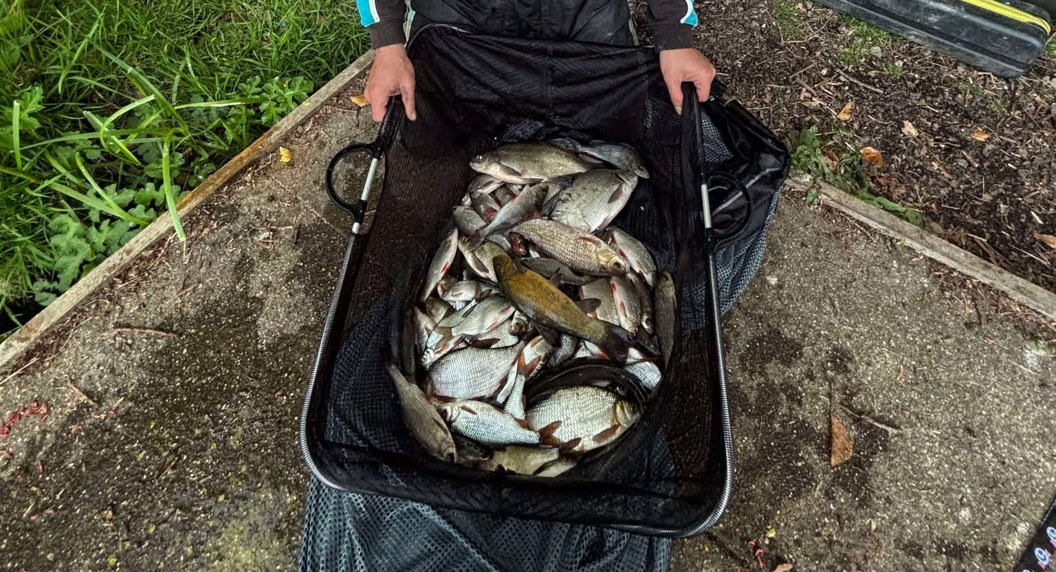 Fish caught at Oak Lake
