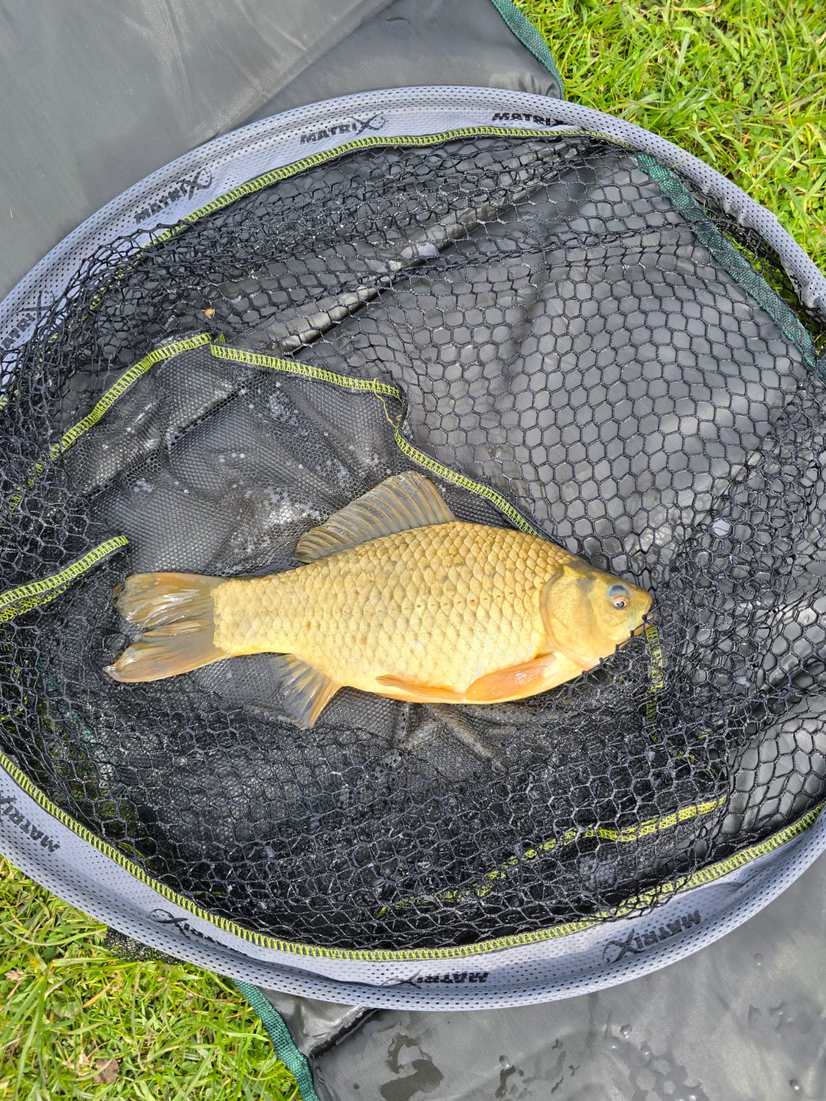 Fish caught at Willow Lake